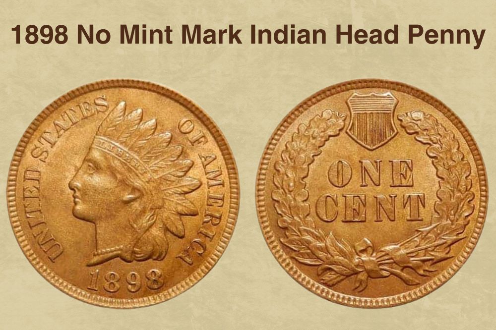 1898 No Mint Mark Indian Head Penny