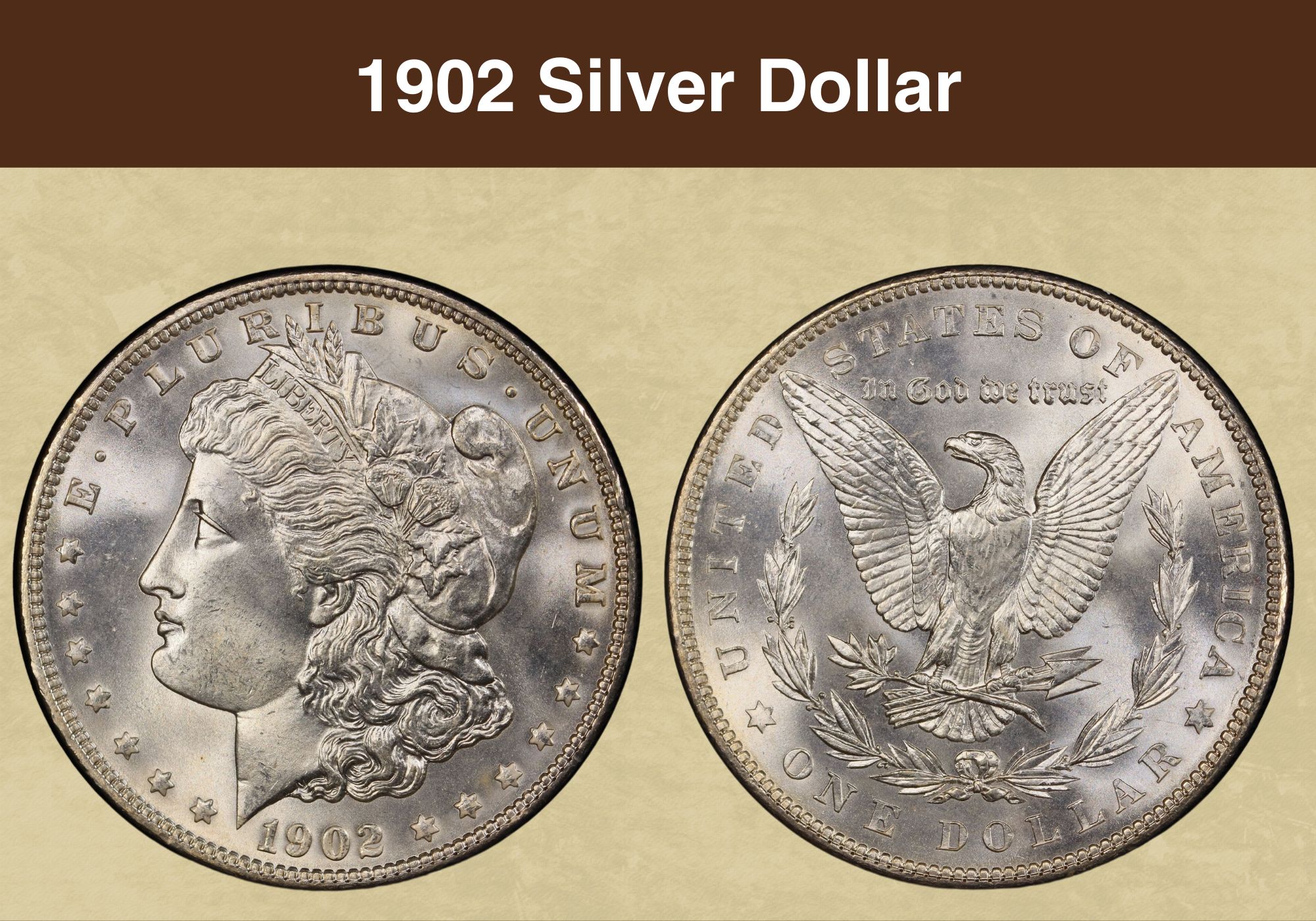 1902 Morgan Silver Dollar Value