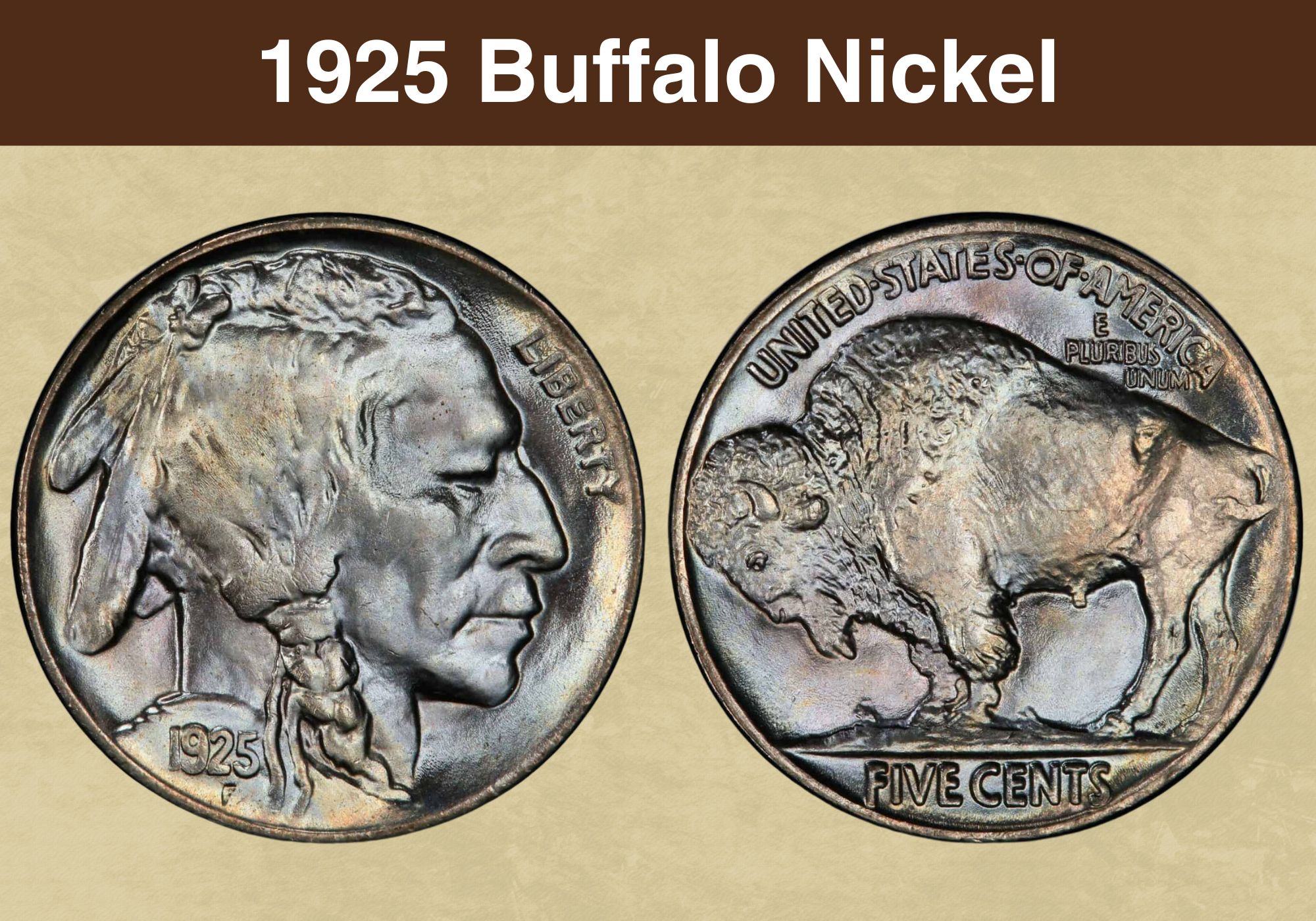 1925 Buffalo Nickel Value