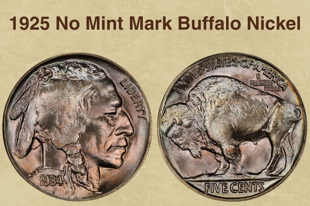 1925 No Mint Mark Buffalo Nickel