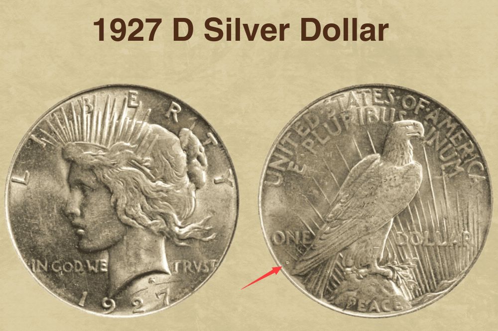 12 Most Valuable One Dollar Coins Worth Money (With Pictures)