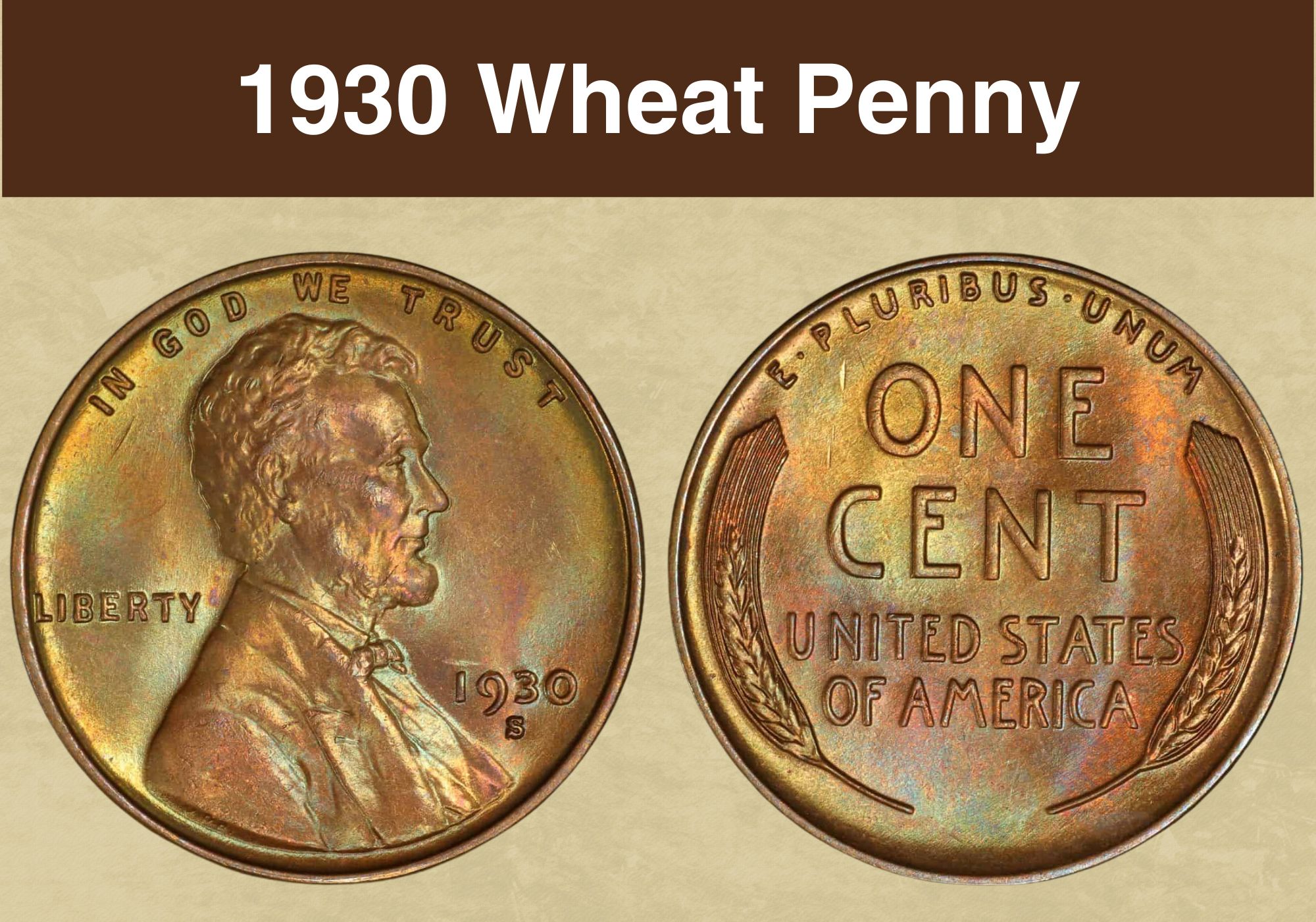 1930 Wheat Penny Coin Value (Errors List, “D”, “S” & No Mint Mark Worth)