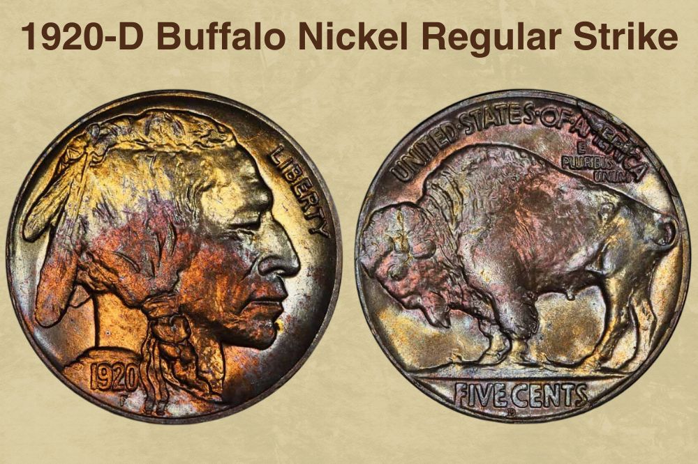 1920-D Buffalo Nickel Regular Strike