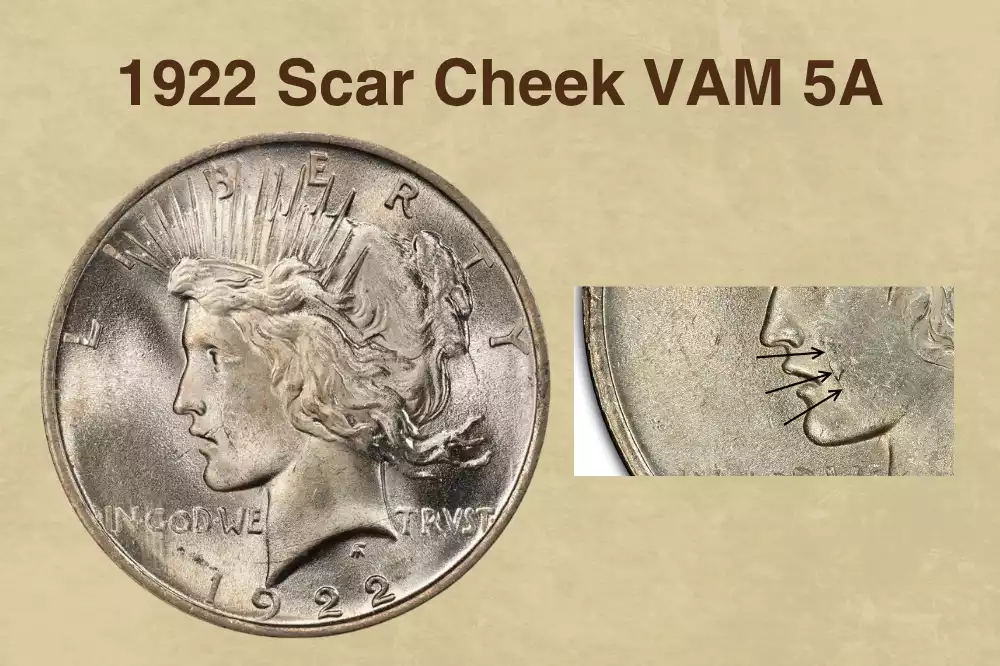1922 Scar Cheek VAM 5A