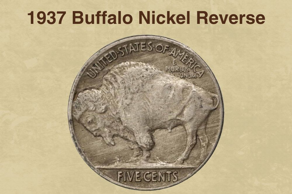 1937 Buffalo Nickel Reverse