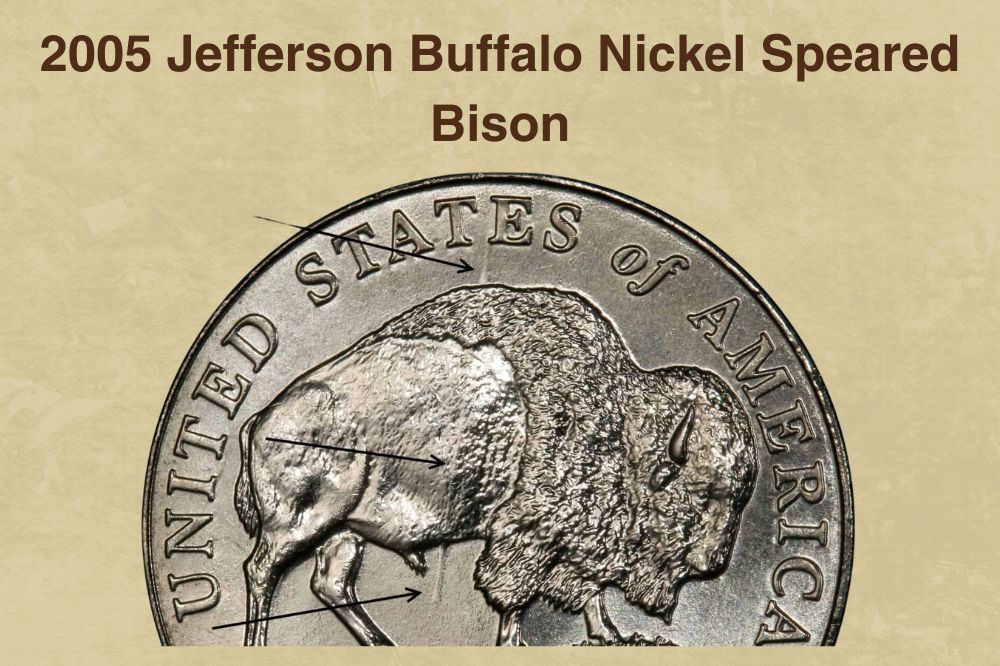 2005 Jefferson Buffalo Nickel Speared Bison
