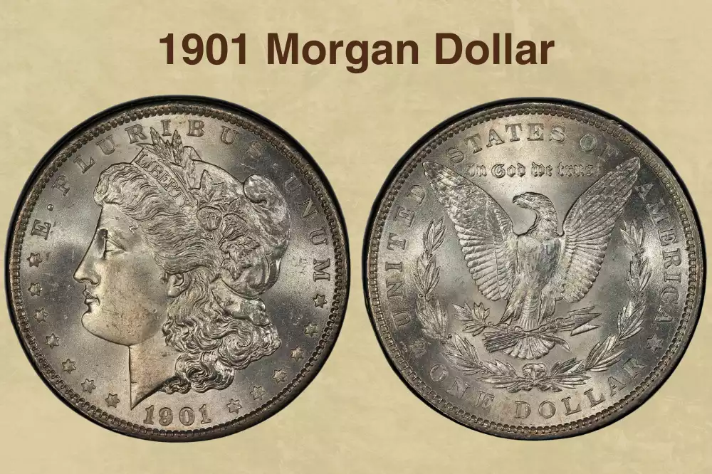 1901 Morgan Dollar