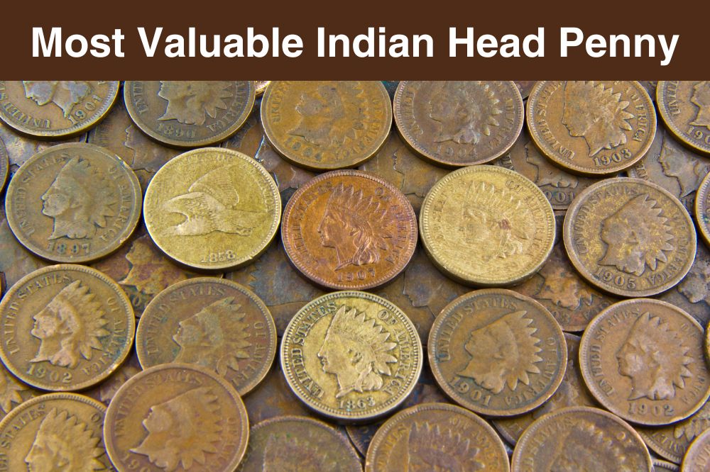 Indian Head Penny Worth Money