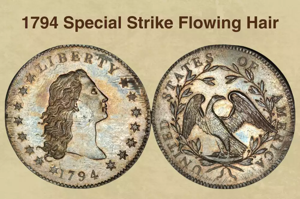 1794 Special Strike Flowing Hair