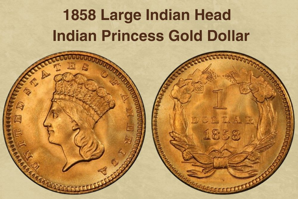 1858 Large Indian Head Indian Princess Gold Dollar