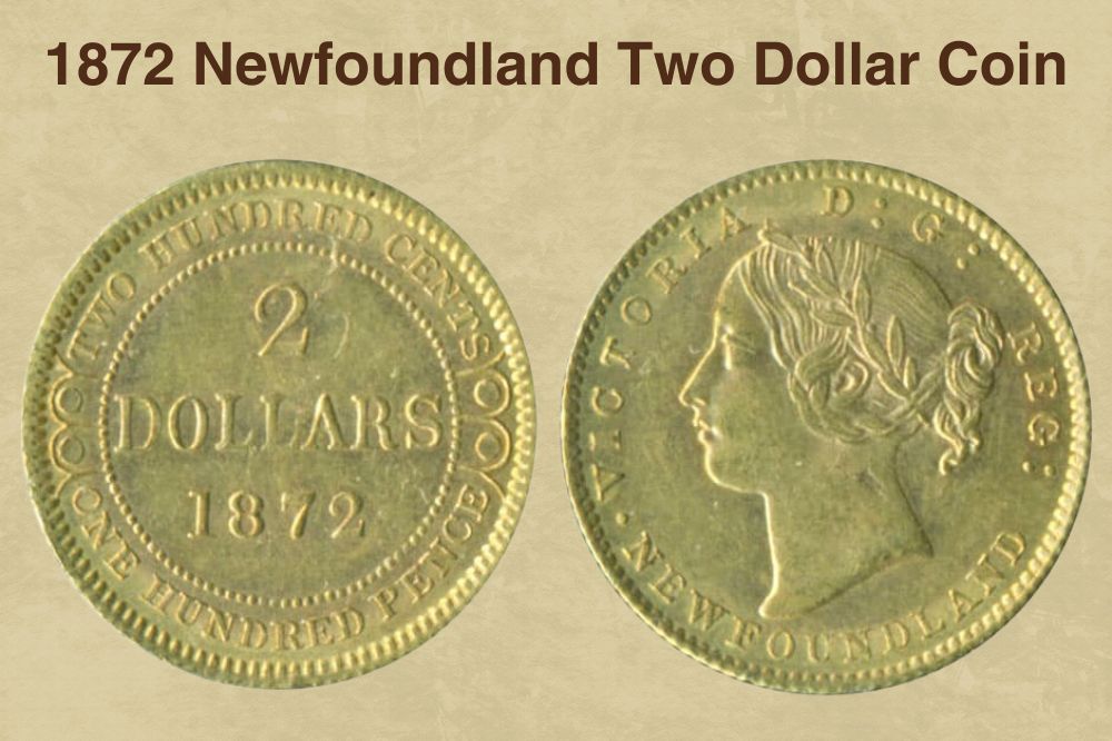 12 Most Valuable Canadian Coins Worth Money (With Pictures)