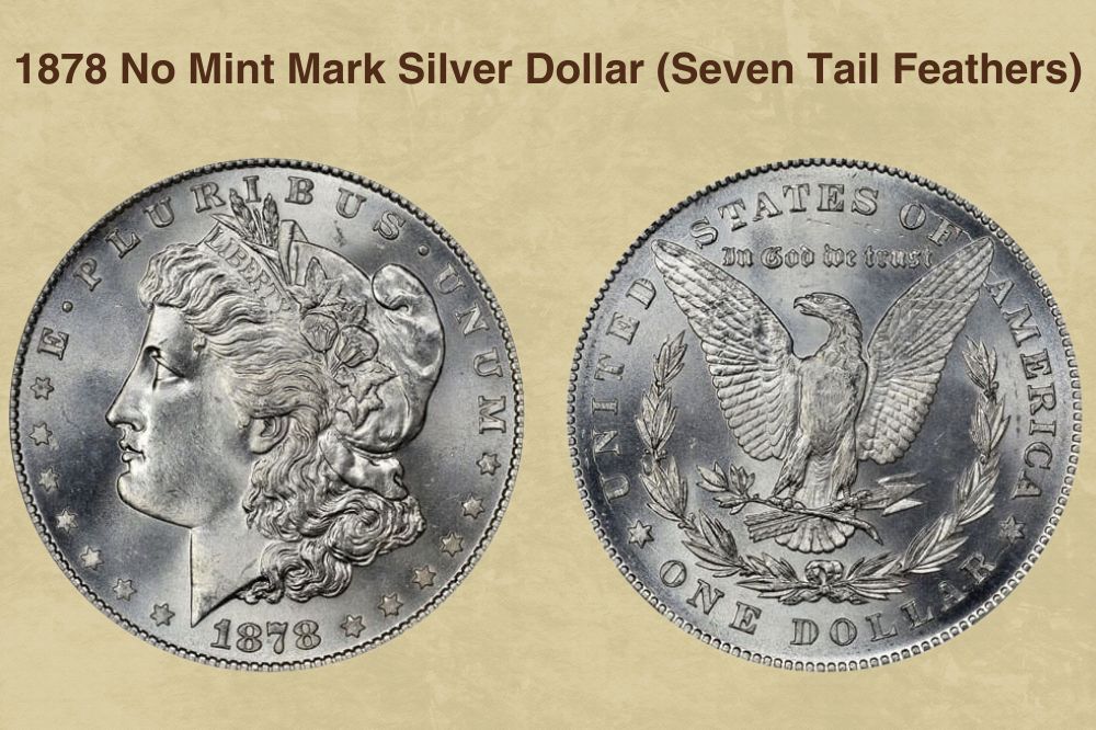 1878 No Mint Mark Silver Dollar (Seven Tail Feathers)