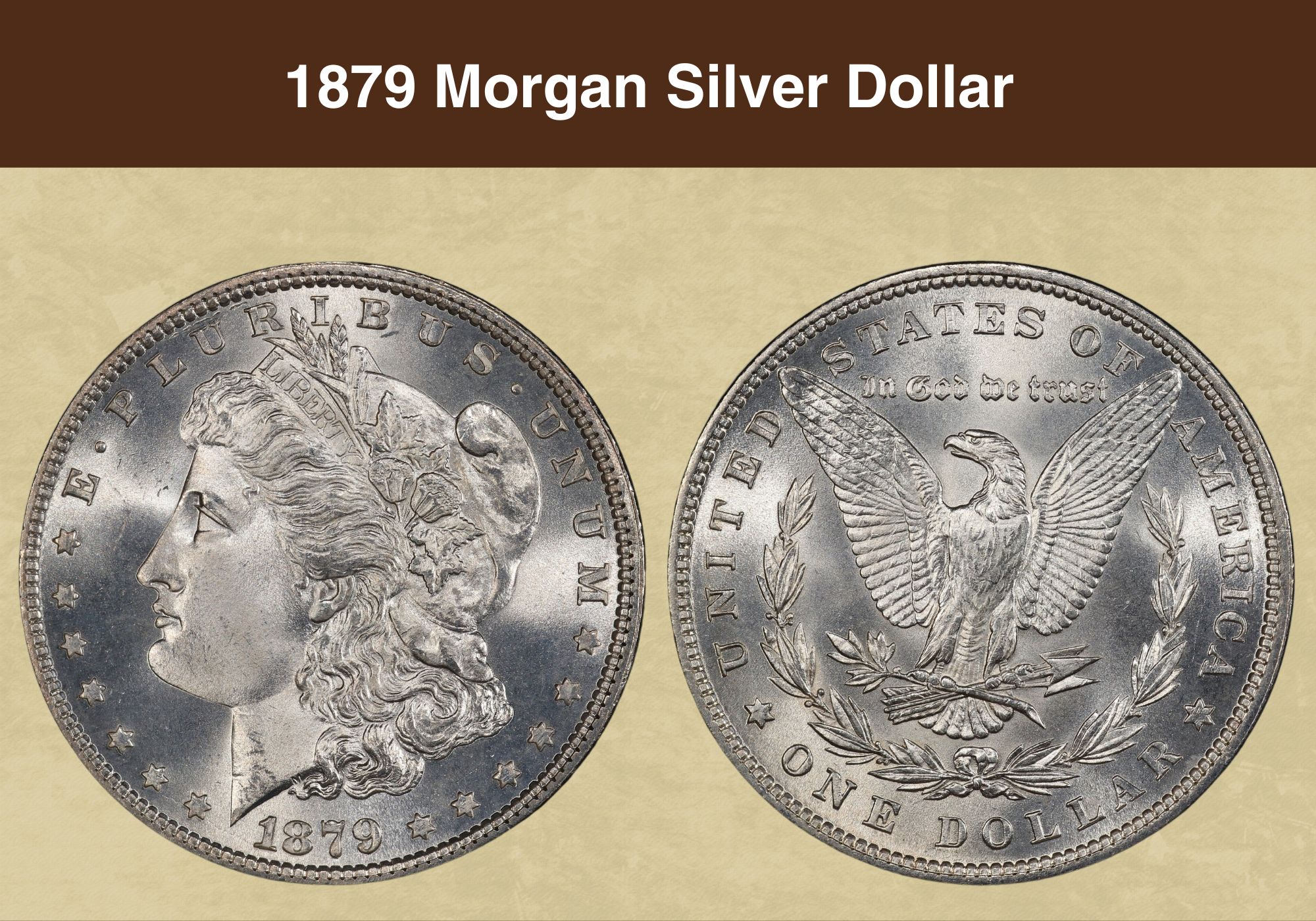 1879 Morgan Silver Dollar Coin Value (Errors List, “CC”, “O”, “S” & No Mint Mark Worth)