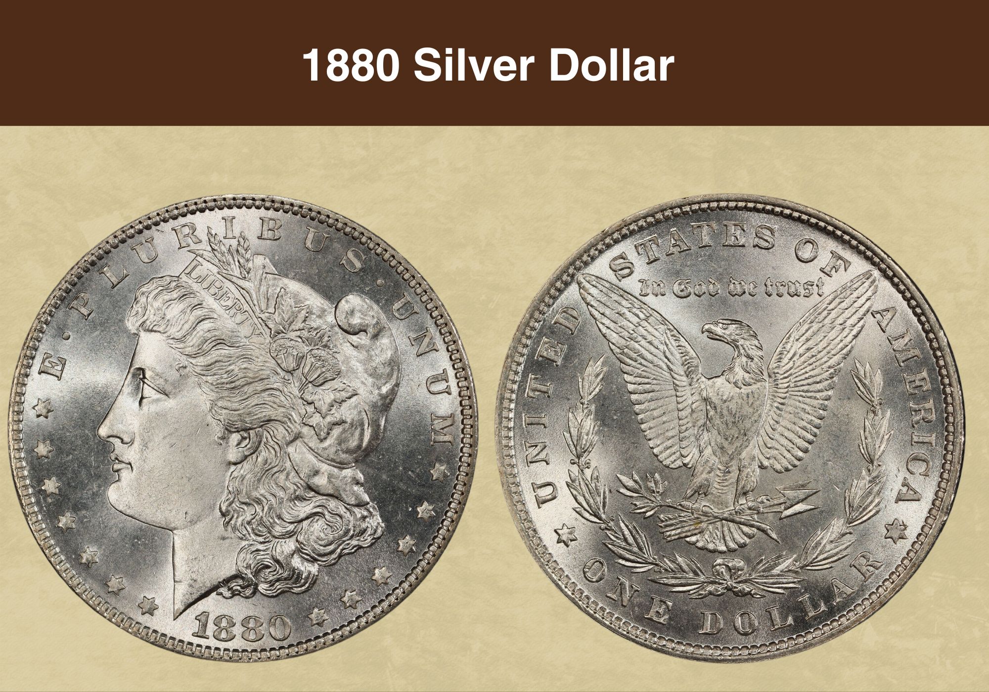 1880 Silver Dollar Coin Value (Errors List, “CC”, “O”, “S” & No Mint Mark Worth)