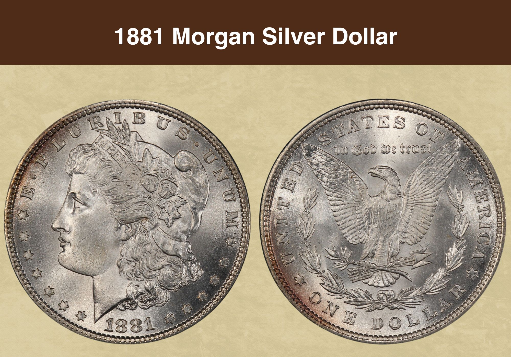 1881 Morgan Silver Dollar Value