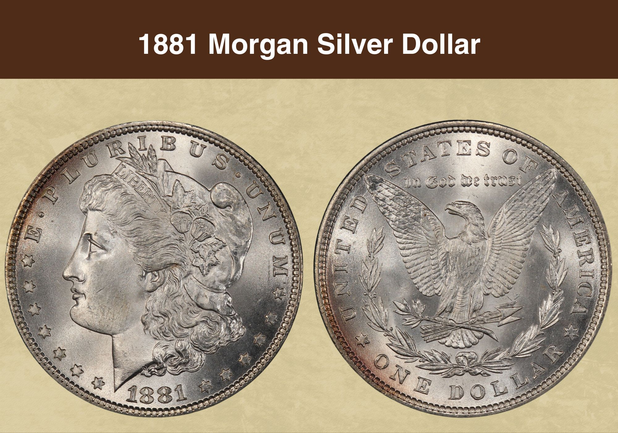 1881 Silver Dollar Coin Value (Errors List, "CC", "O", "S" & No