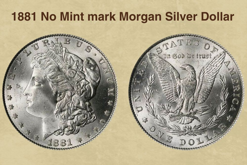 1881 No Mint mark Morgan Silver Dollar