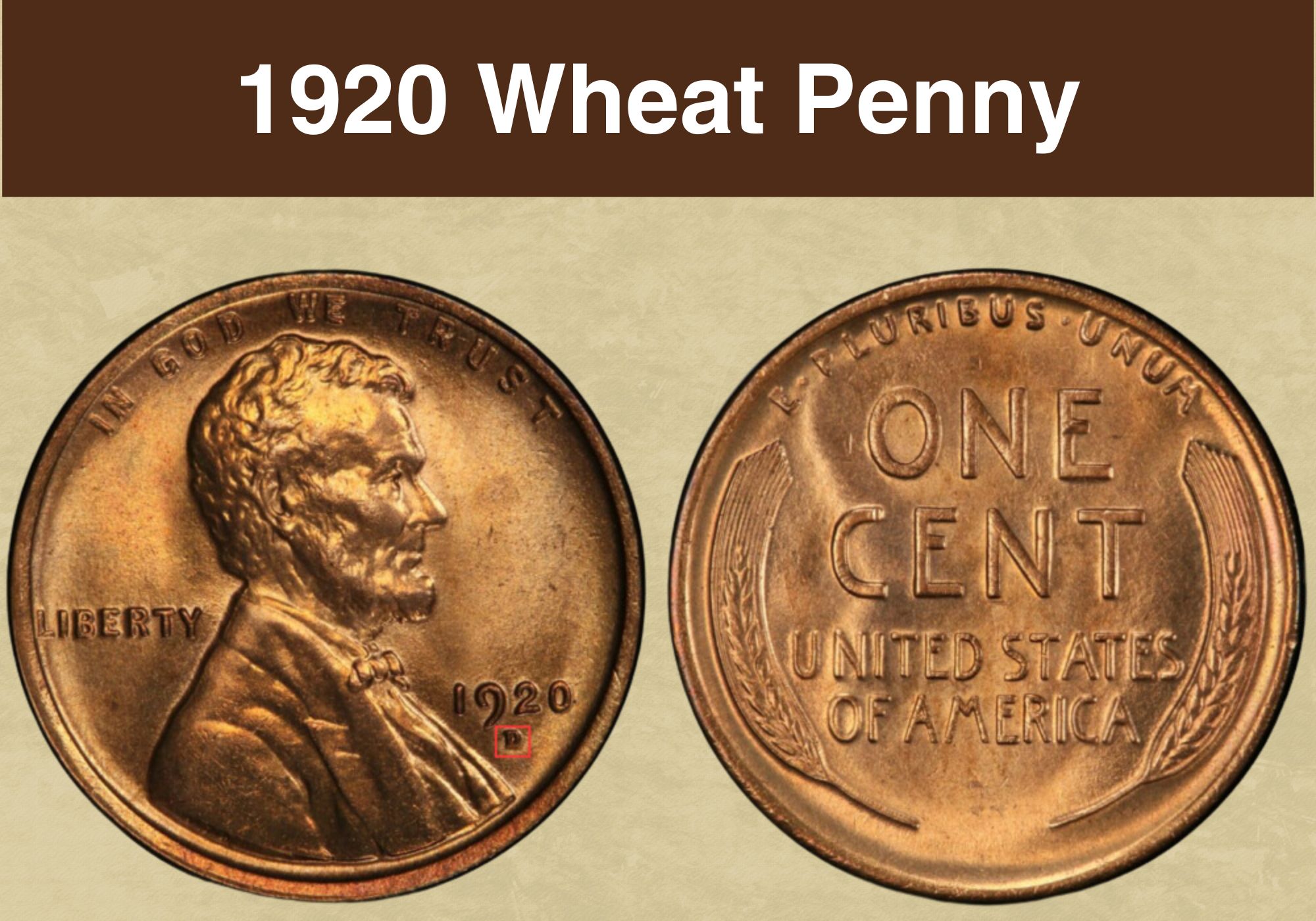 1920 Wheat Penny Coin Value (Errors List, “D”, “S” & No Mint Mark Worth)