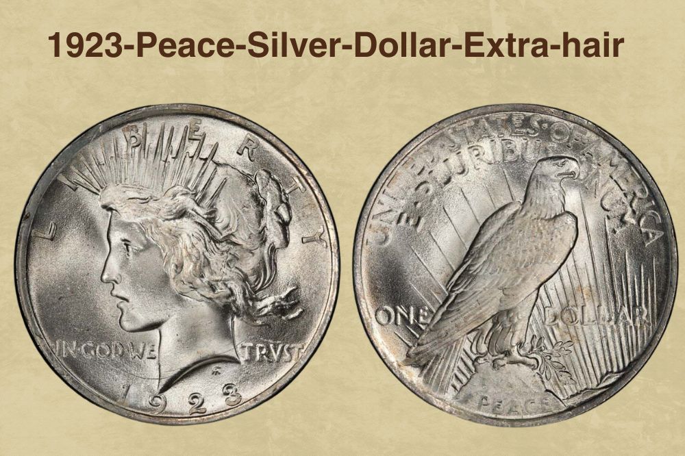 1923-Peace-Silver-Dollar-Extra-hair