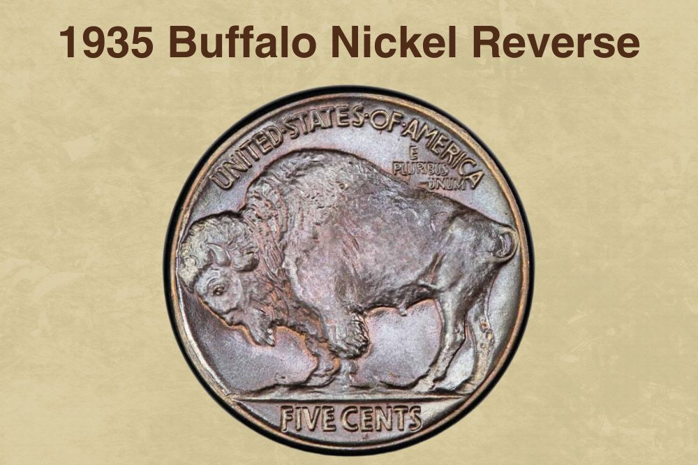 1935 Buffalo Nickel Obverse