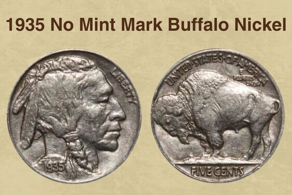 1935 No Mint Mark Buffalo Nickel