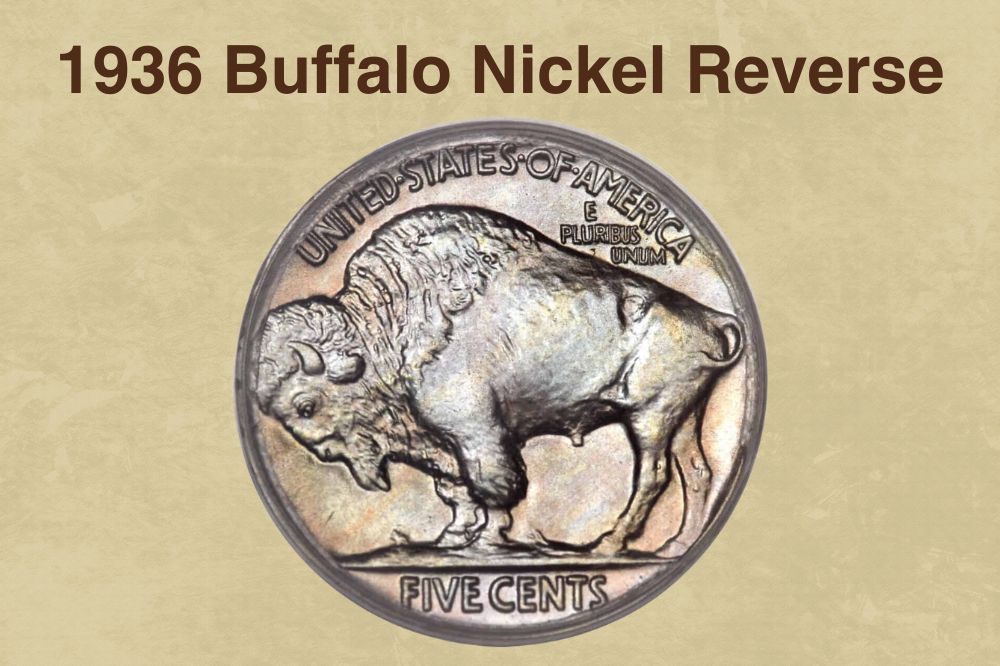 1936 Buffalo Nickel Reverse