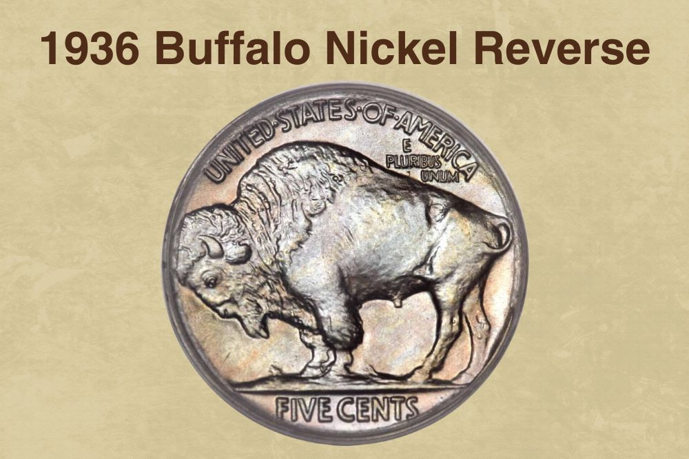 Lot - 3-Rare Buffalo Nickels 1-1935, 1-1936 & 1-1936-S Indian Head?Buffalo  Nickels. Buffalo Nickel's arel valued at an average of $1.75 each one in  certified mint state (MS+) could be worth $100.