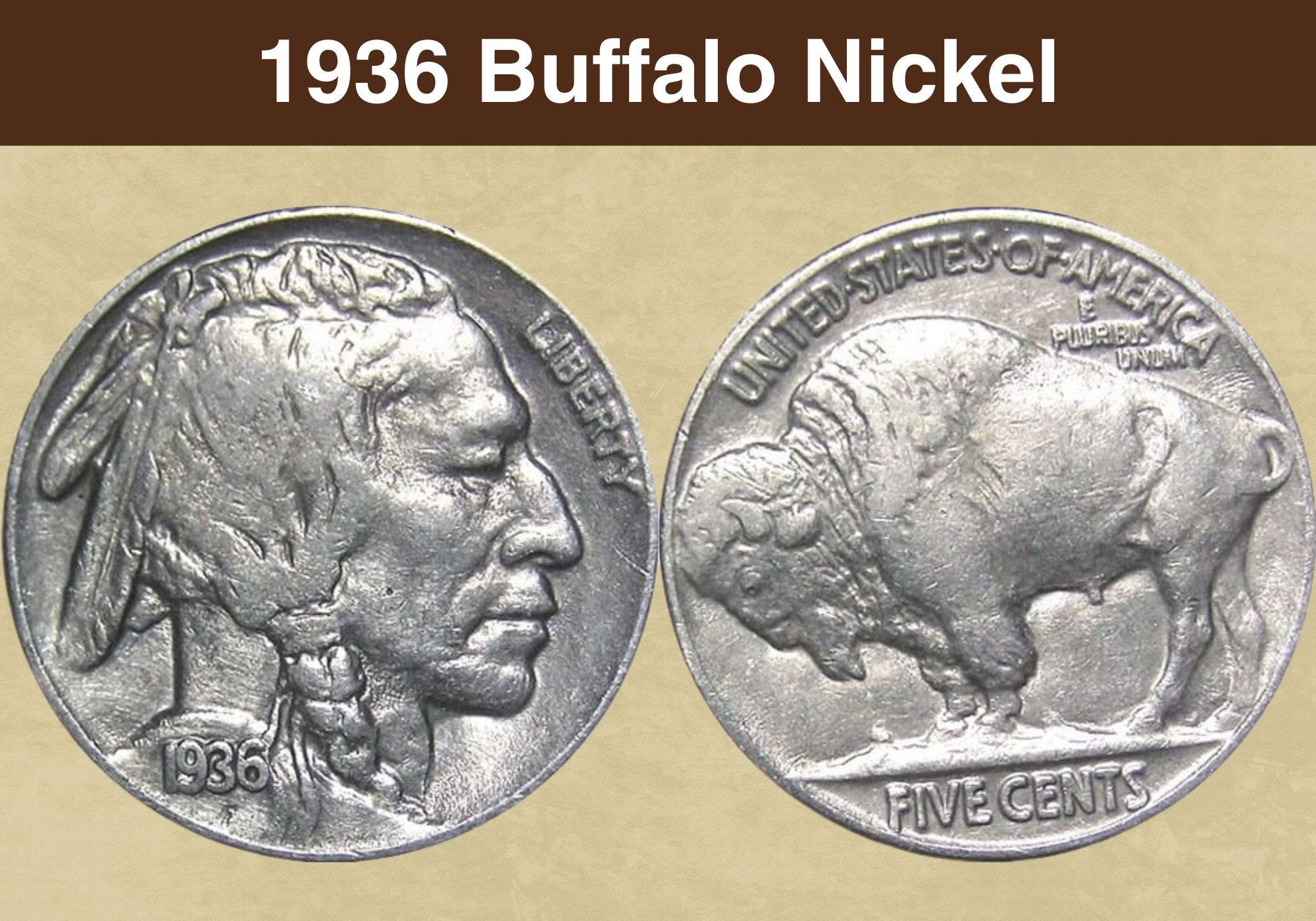 1936 Buffalo Nickel Coin Value (Errors List, “D”, “S” & No Mint Mark Worth)