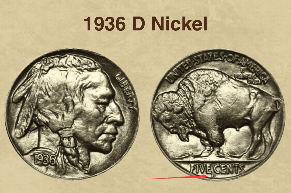 1936 Buffalo Nickel Coin Value (Errors List, &ldquo;D&rdquo;, &ldquo;S&rdquo; &amp; No Mint 