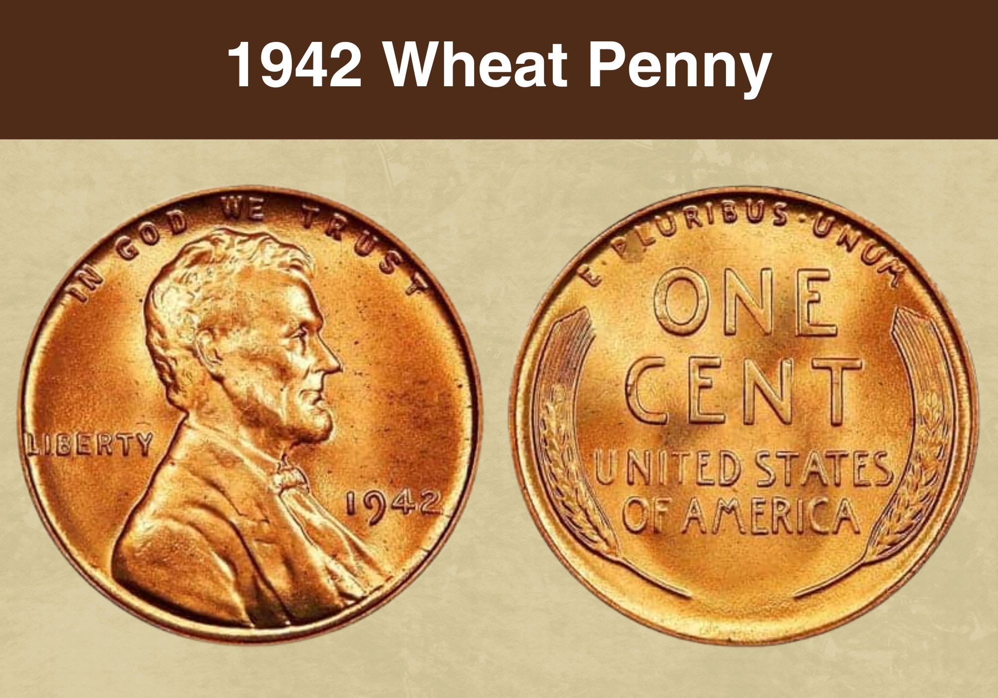 1942 Wheat Penny Coin Value (Errors List, “D”, “S” & No Mint Mark Worth)