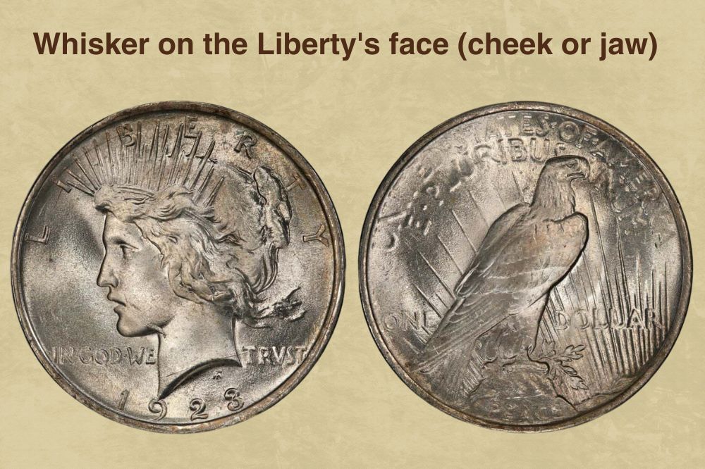 Whisker on the Liberty's face (cheek or jaw)