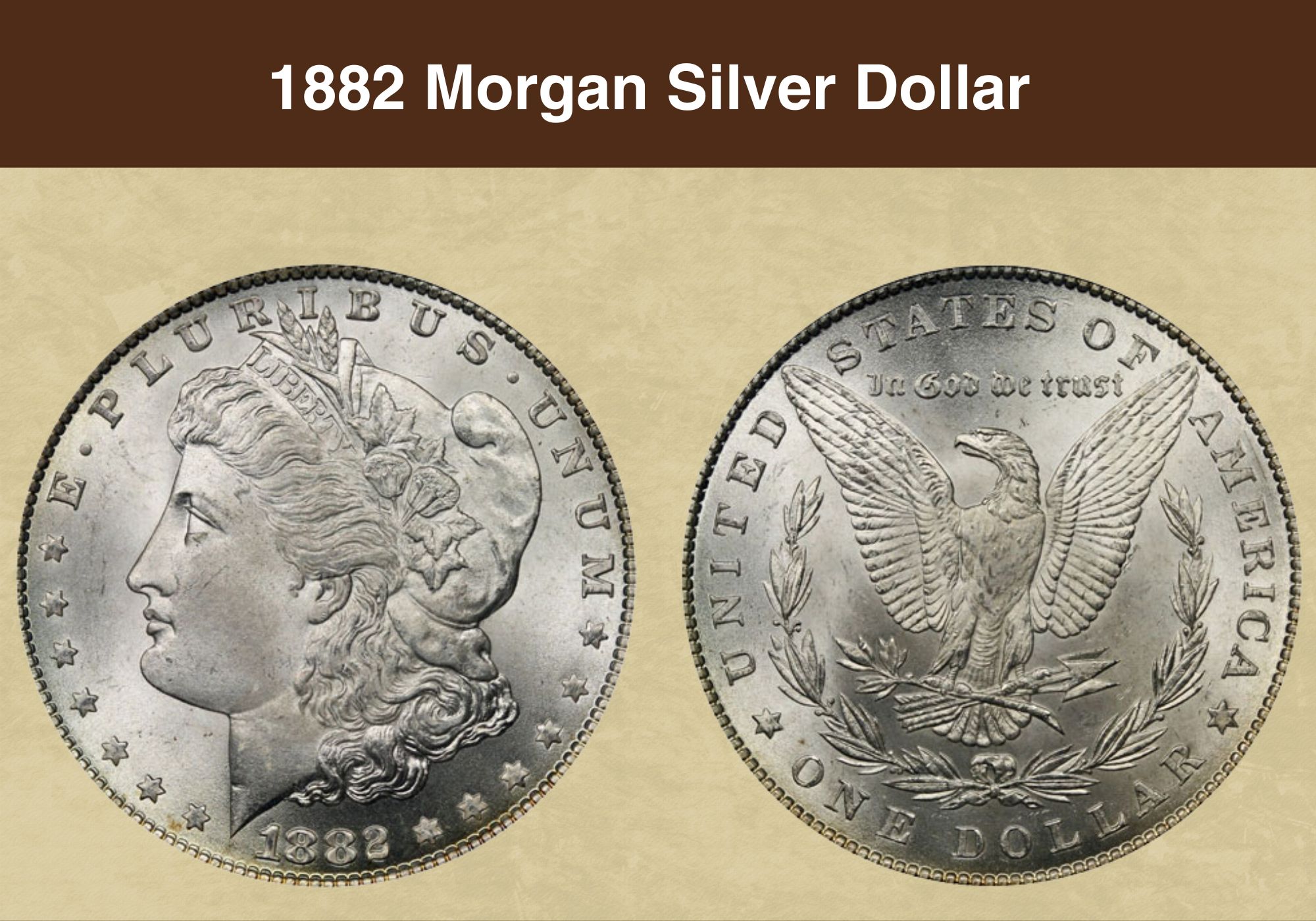 1882 Morgan Silver Dollar Value