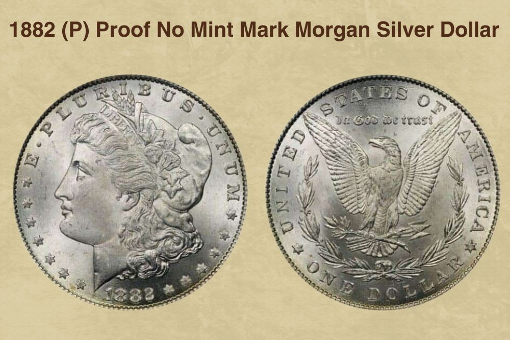 1882 (P) Proof No Mint Mark Morgan Silver Dollar