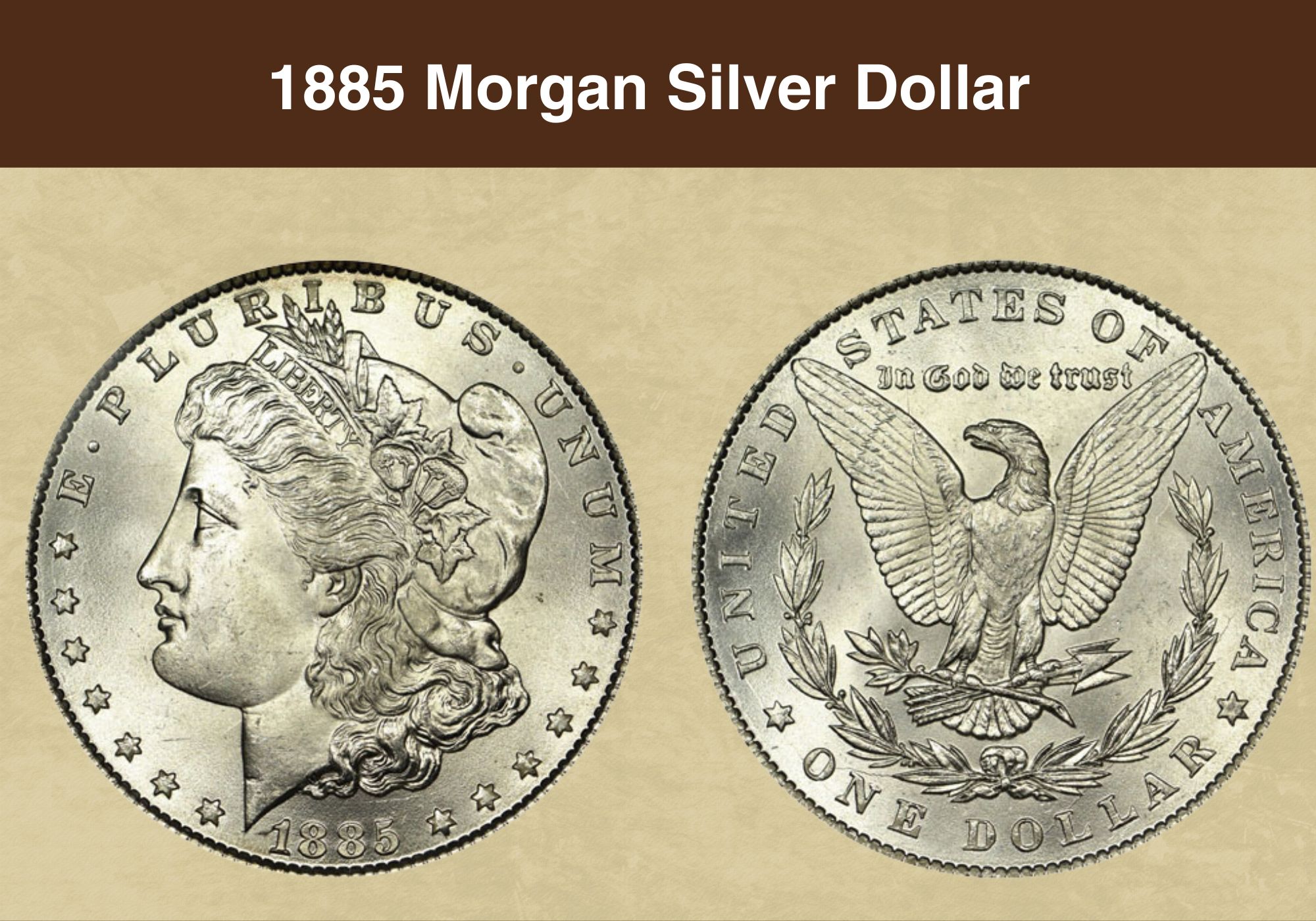 Morgan Silver Dollar Coin, Silver Coin