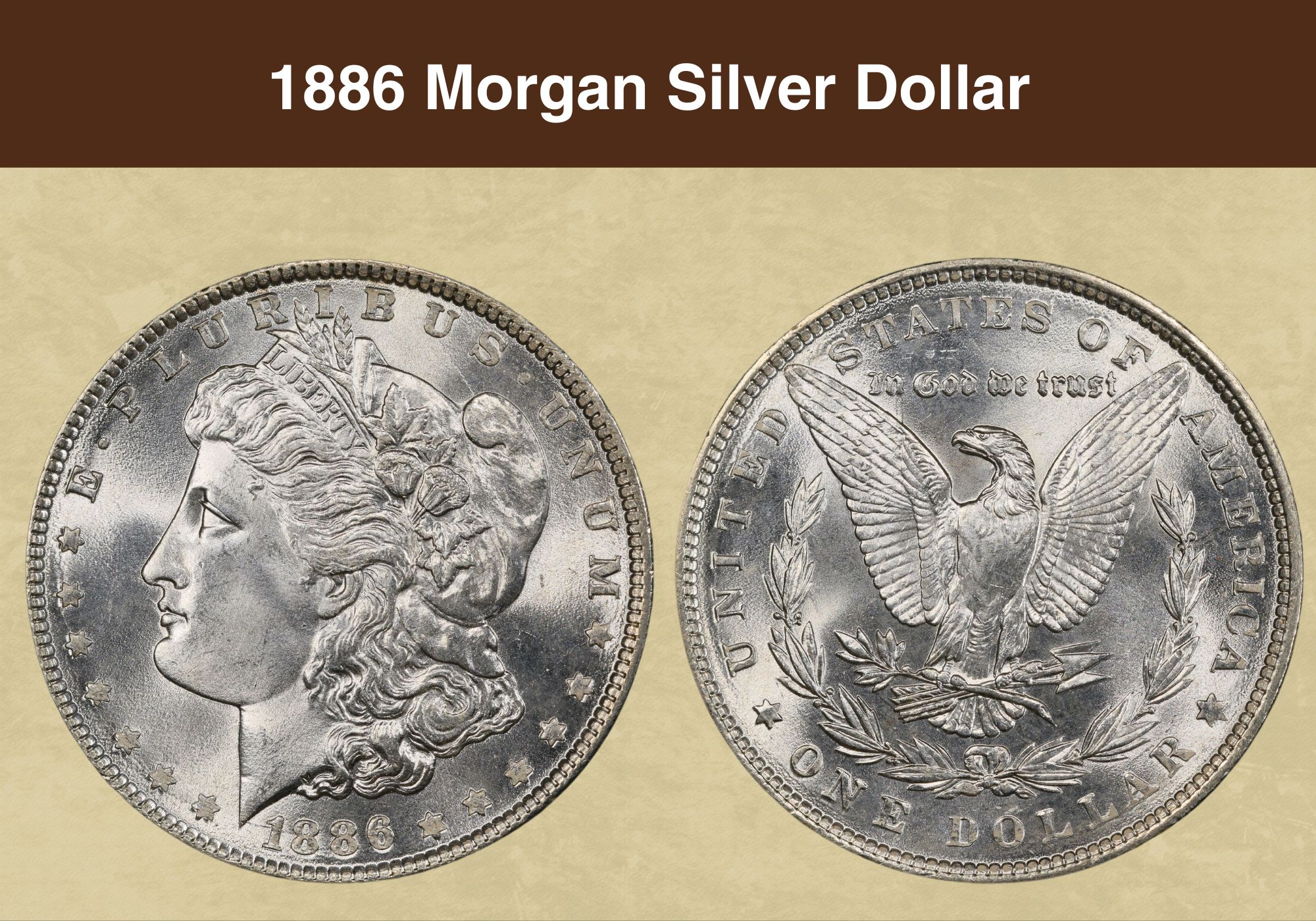 1886 Morgan Silver Dollar Value