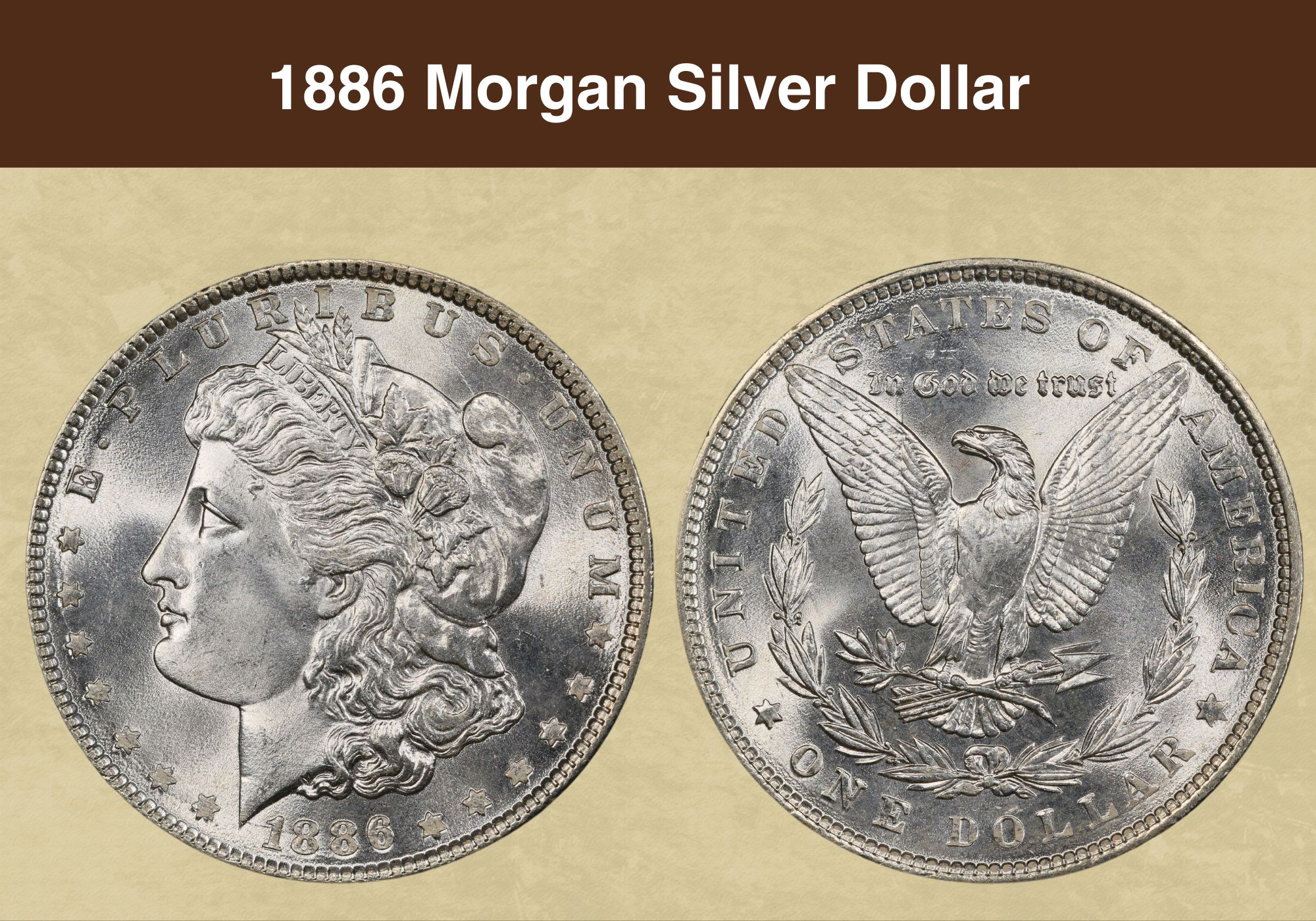 1900 Morgan Silver Dollar Value (Price Chart, Error List, History &  Varieties)