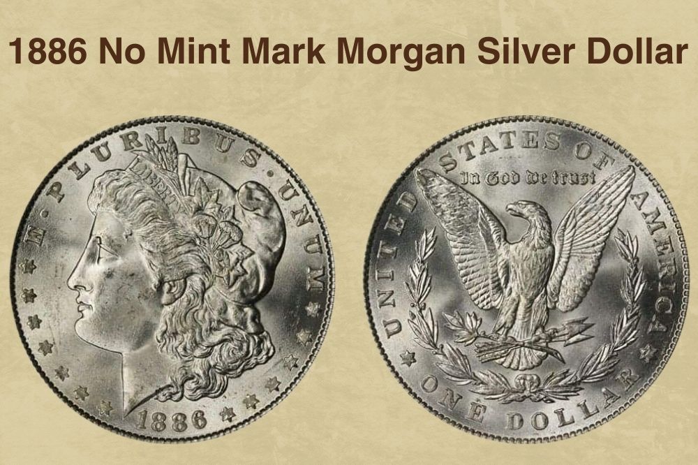1886 No Mint Mark Morgan Silver Dollar