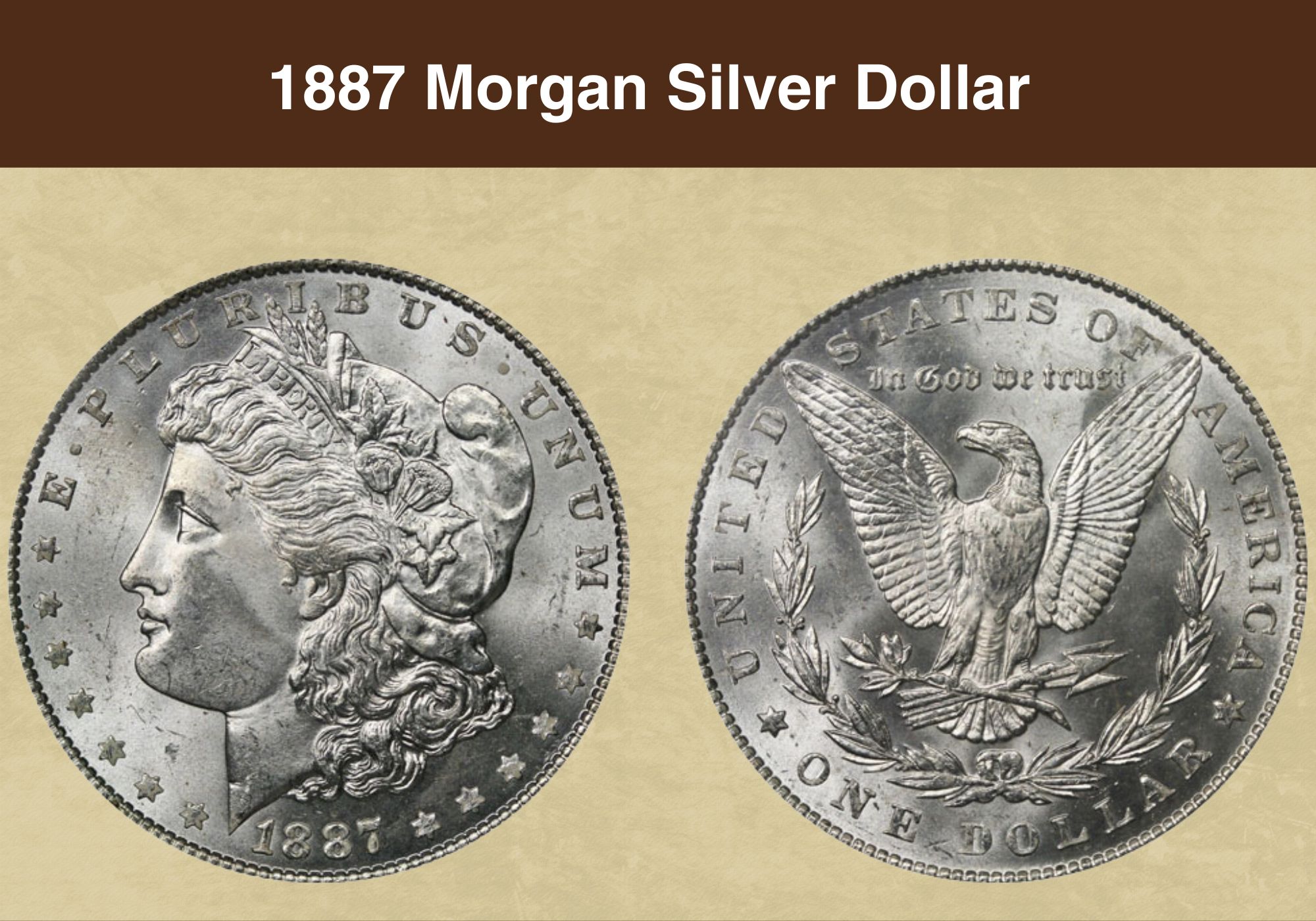 1887 Morgan Silver Dollar Value