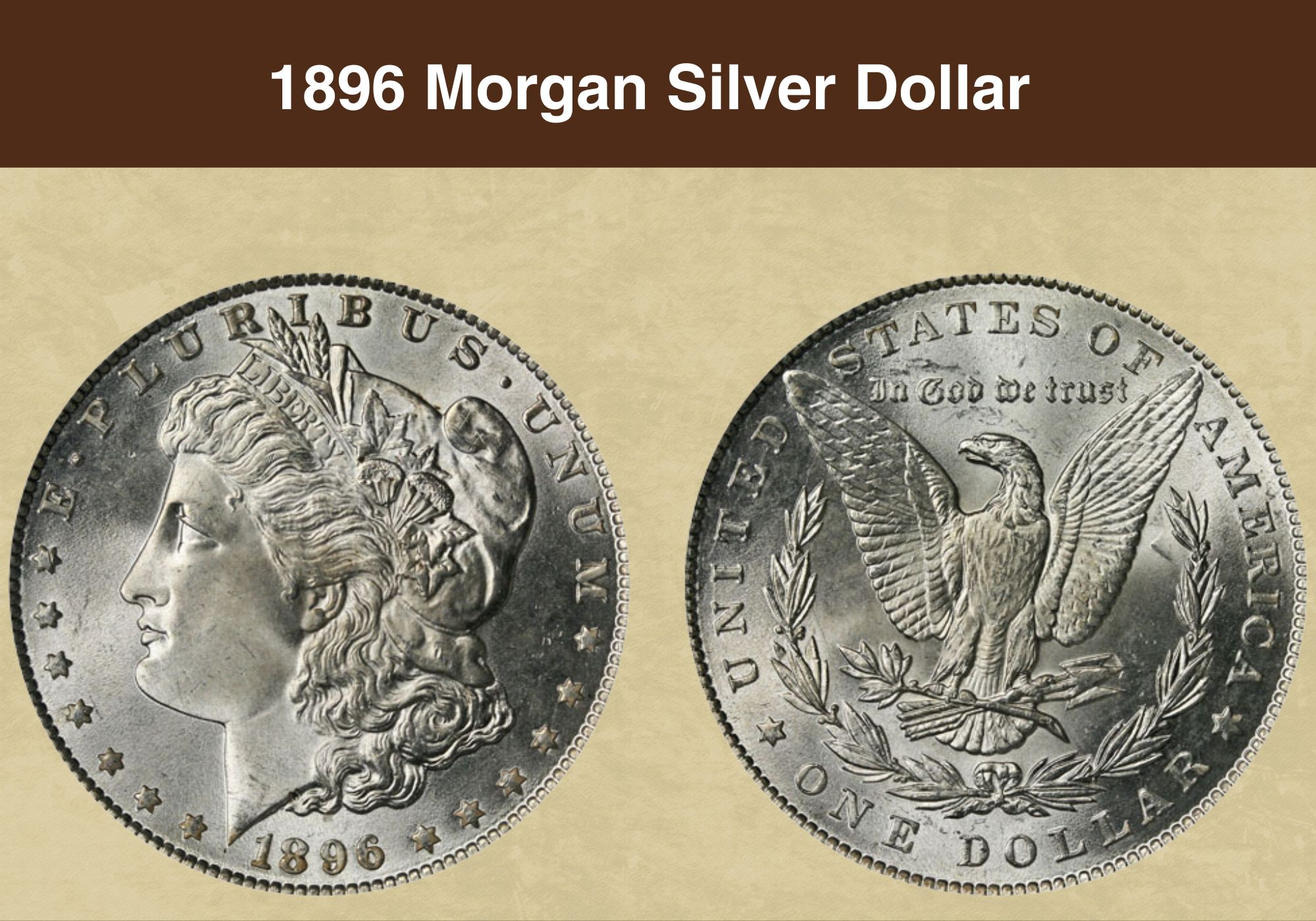 1896 Morgan Silver Dollar Value
