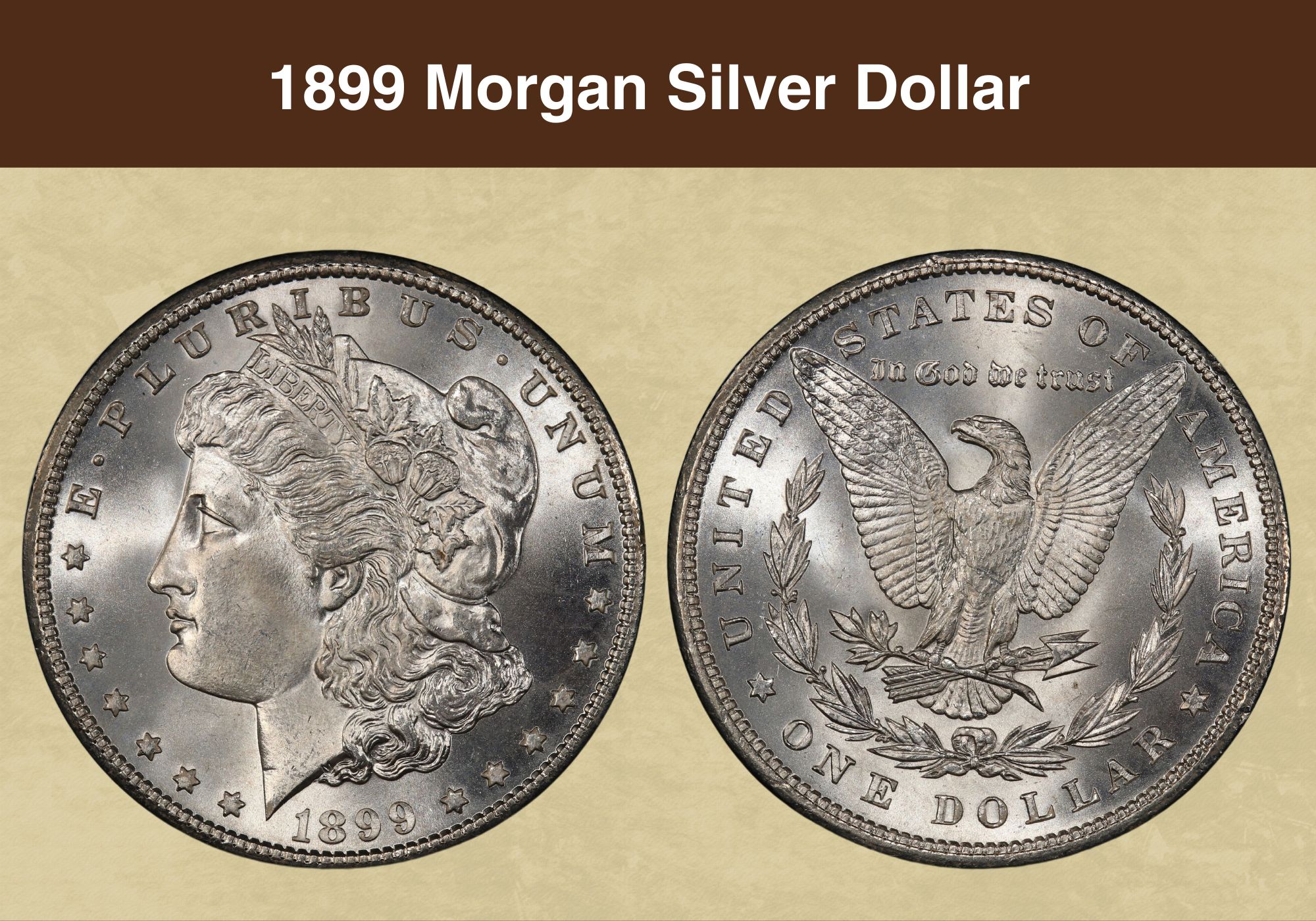1899 Morgan Silver Dollar Value