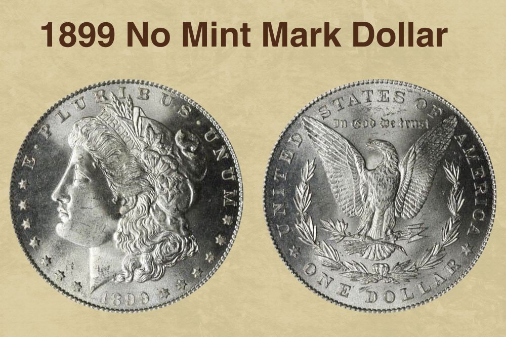 1899 No Mint Mark Dollar