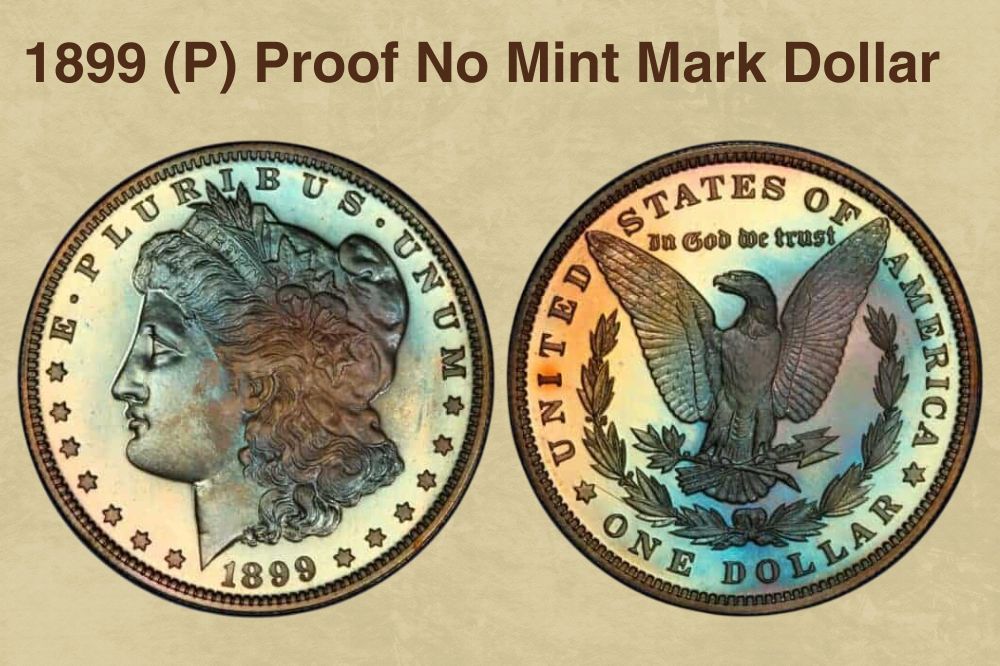 1899 (P) Proof No Mint Mark Dollar