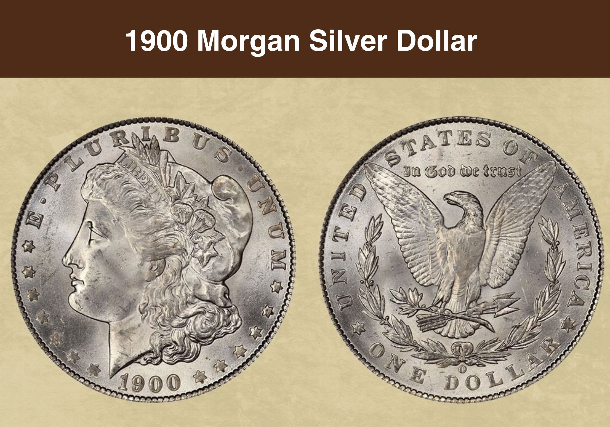 1900 Morgan Silver Dollar Value
