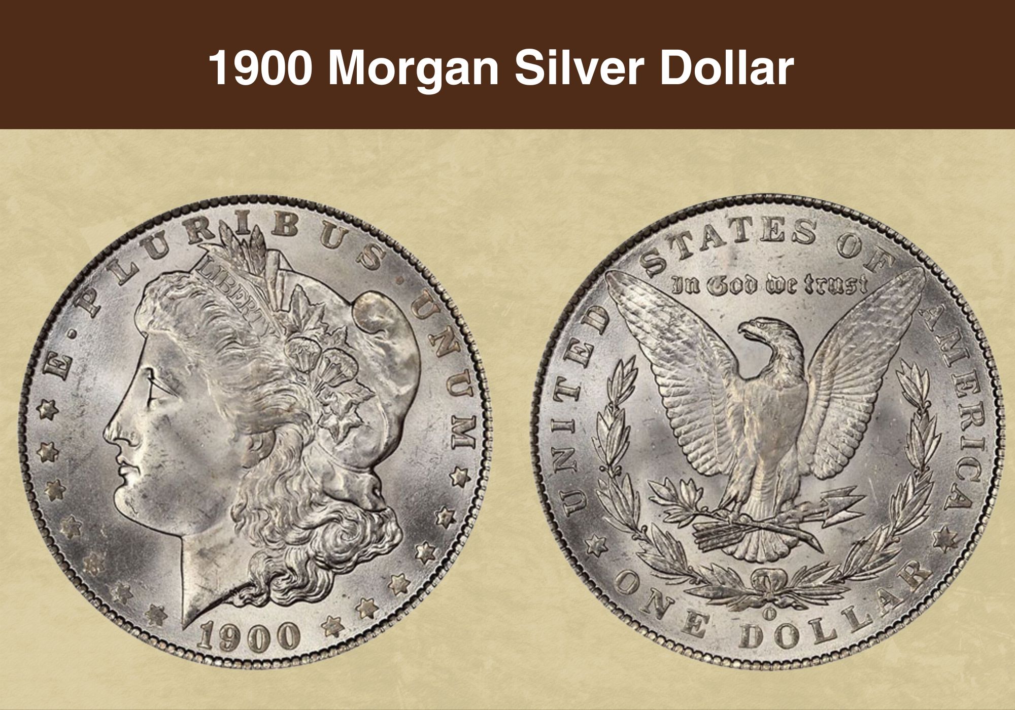 Morgan Silver Dollar Coin, Silver Coin