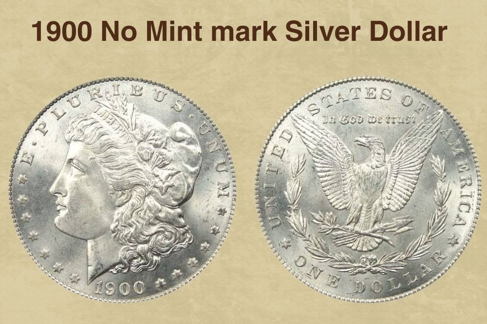 1900 No Mint mark Silver Dollar