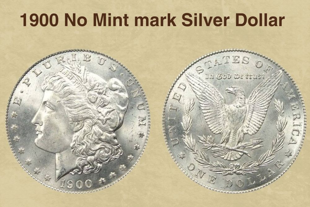 1900 Morgan Silver Dollar Value (Price Chart, Error List, History &  Varieties)