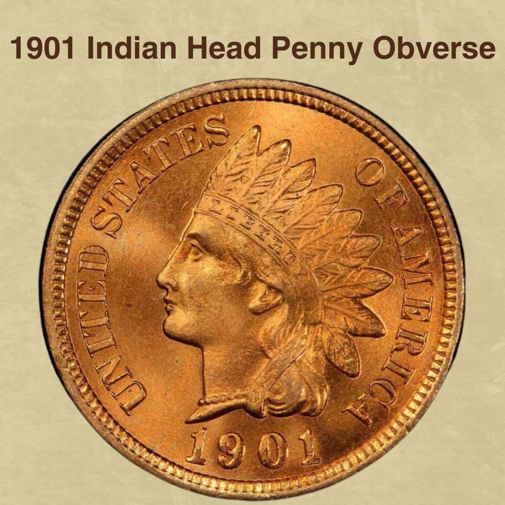 1901 Indian Head Penny Obverse