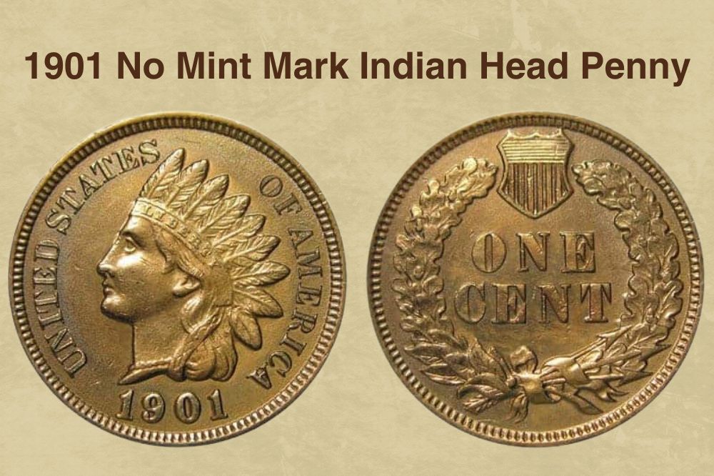 1901 No Mint Mark Indian Head Penny
