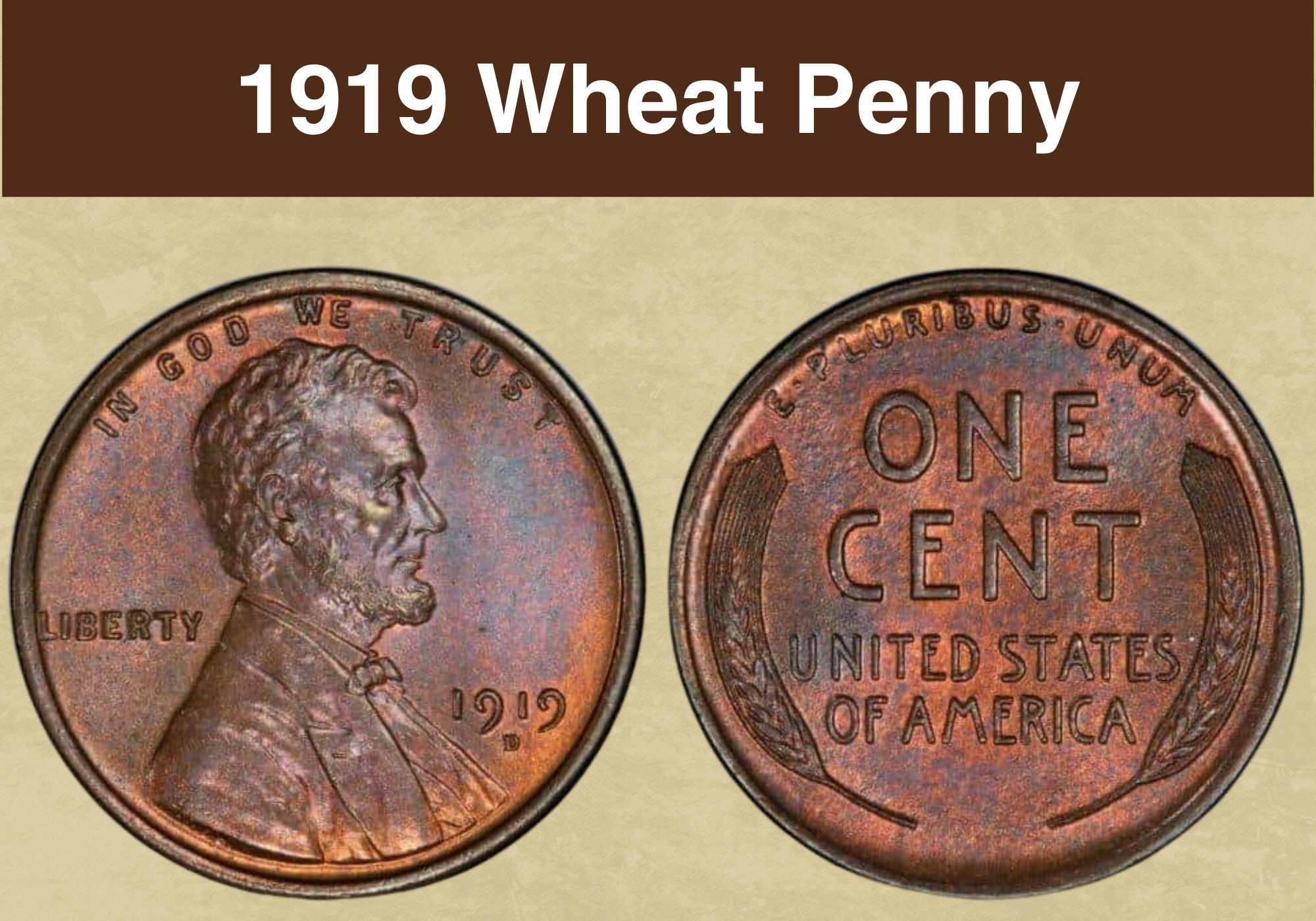 1919 Wheat Penny Coin Value (Errors List, “D”, “S” & No Mint Mark Worth)