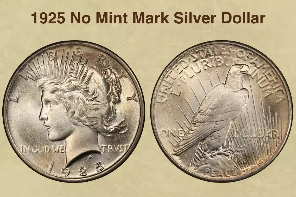 1925 No Mint Mark Silver Dollar Value
